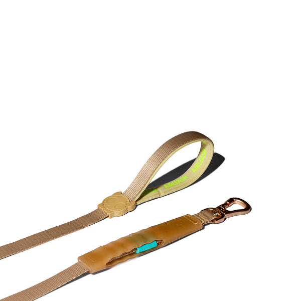 Kim Air-Leash