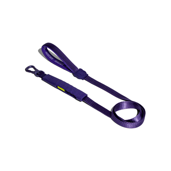 Violet Air-Leash