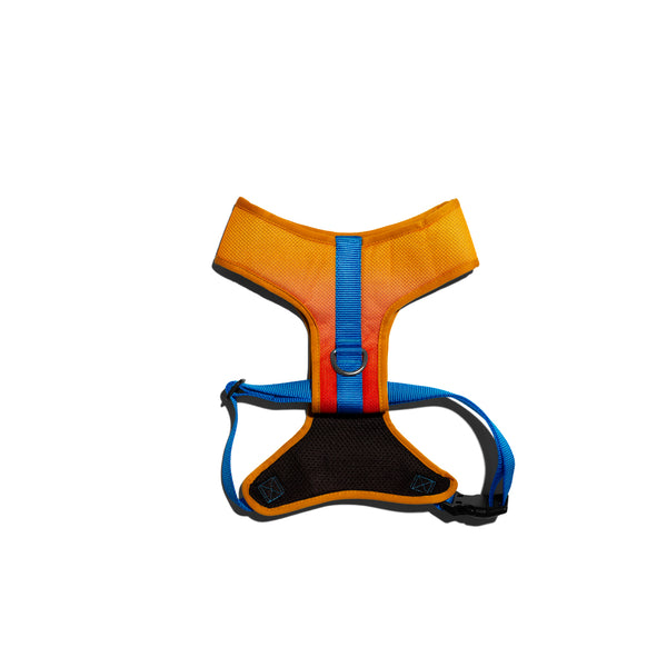 Solaris Air Mesh Plus Harness