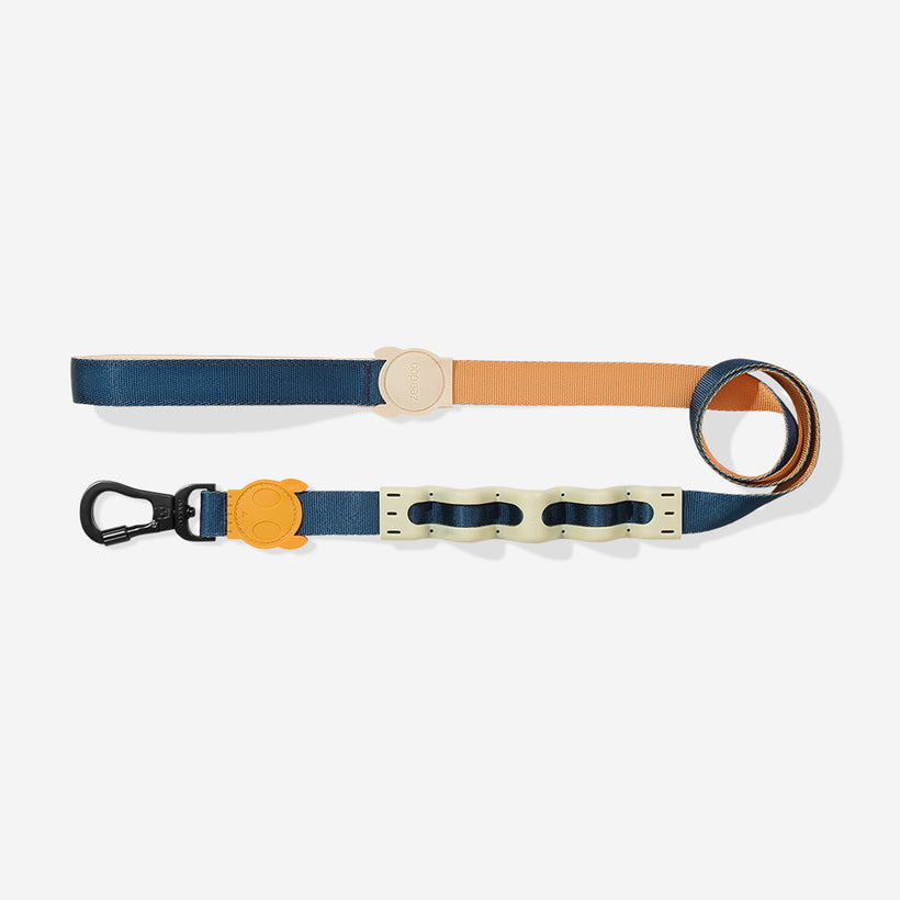 Large Ruff Leash